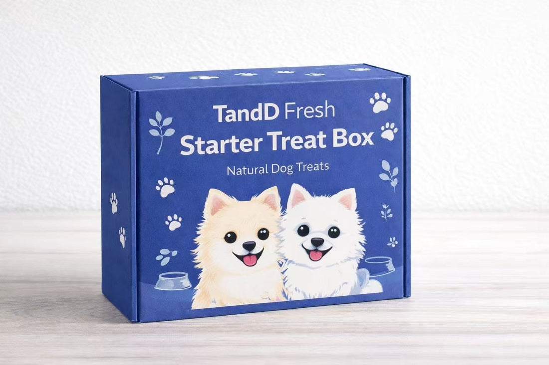 How Many Treats Should I Give My Dog Per Day?